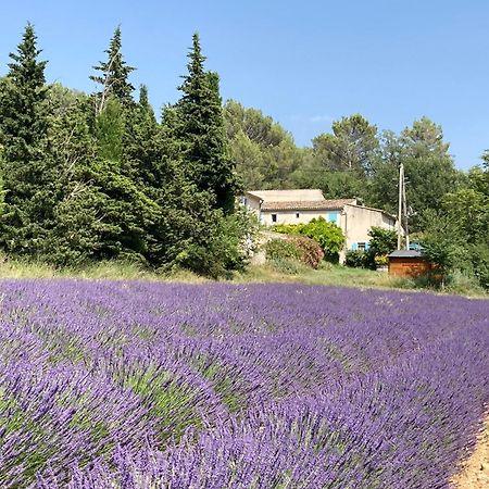 Maison Au Colorado Provencal Villa Rustrel Exterior foto