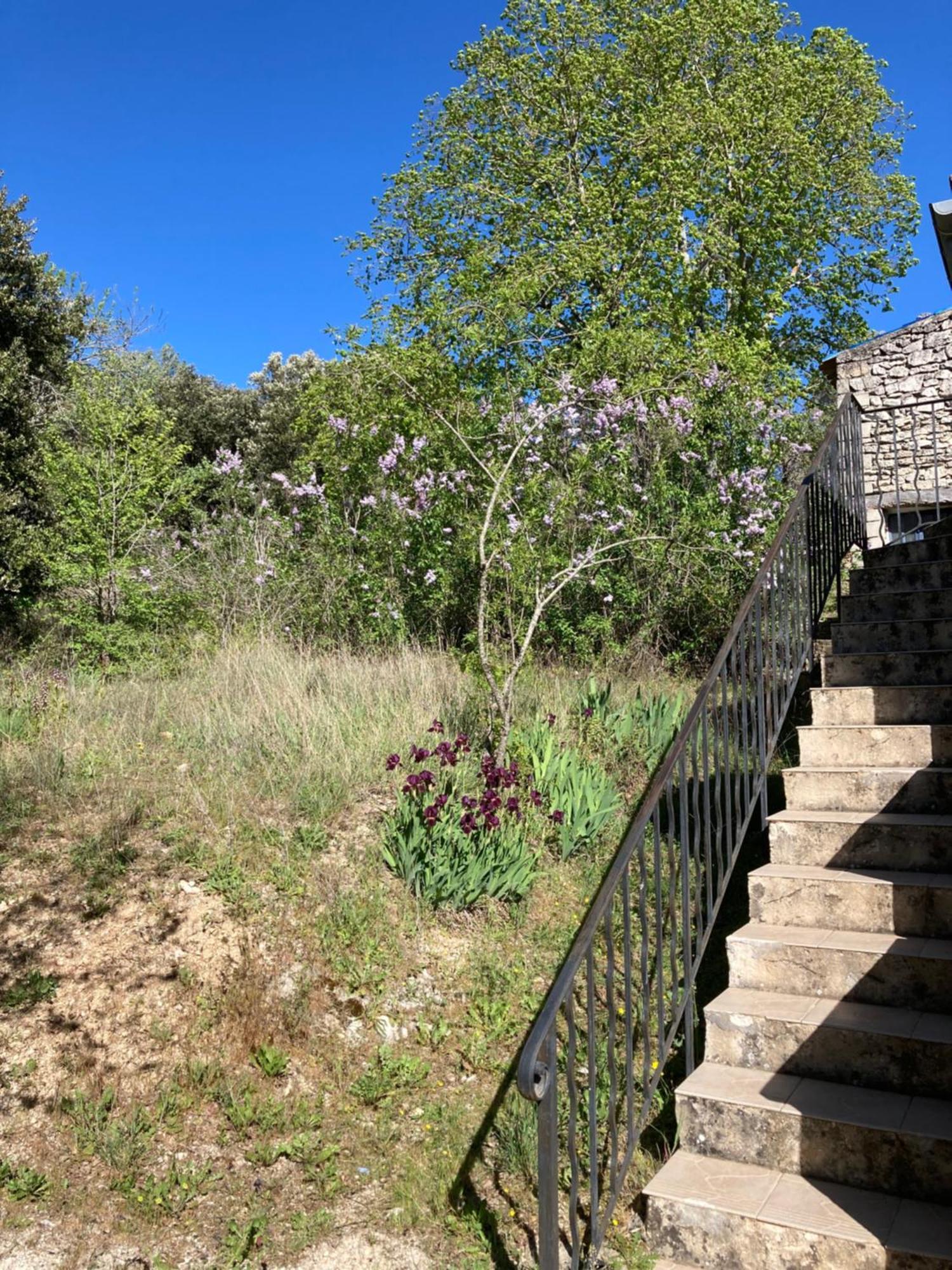 Maison Au Colorado Provencal Villa Rustrel Exterior foto