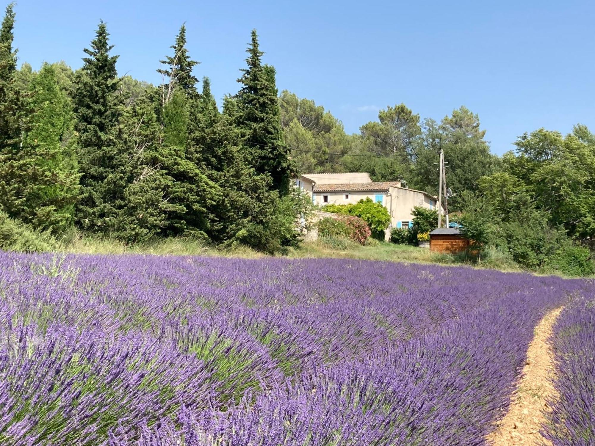 Maison Au Colorado Provencal Villa Rustrel Exterior foto